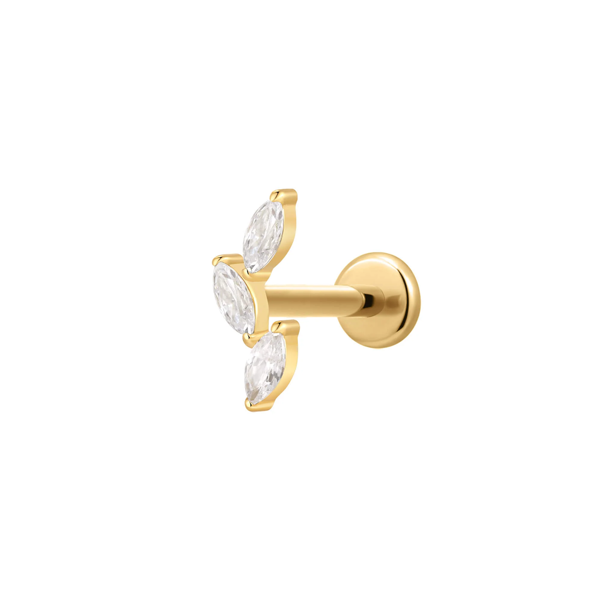 Ear Lobe Piercings